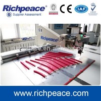 Richpeace computerized full-automatic template sewing machine